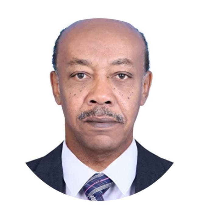 الرشيد ناصر الدين سلمان
